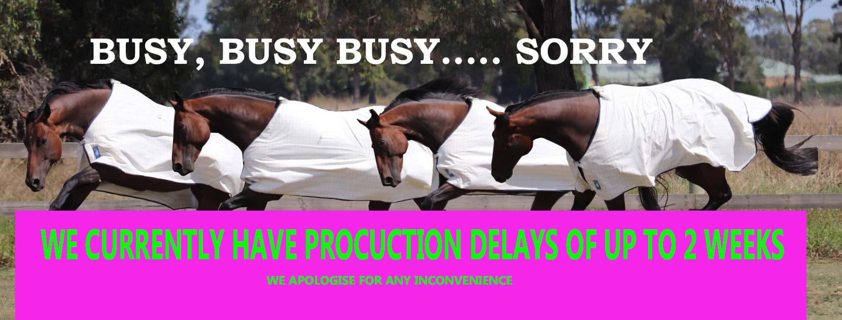 Skye Park Rugs Australia's Home of Horse Rugs, Blankets and Accessories