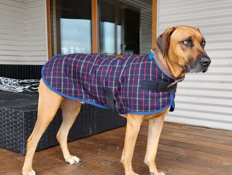 Woof Wear Wool Dog Rug