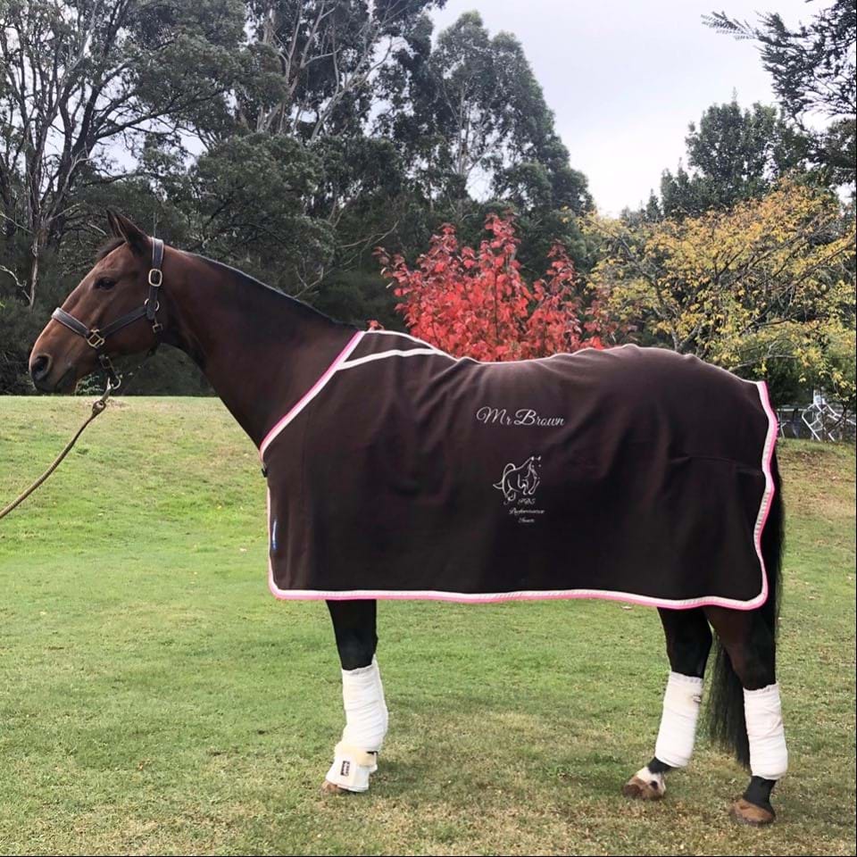 Guide To Horse Rugs Buying Fitting Horse Rugs For Sale