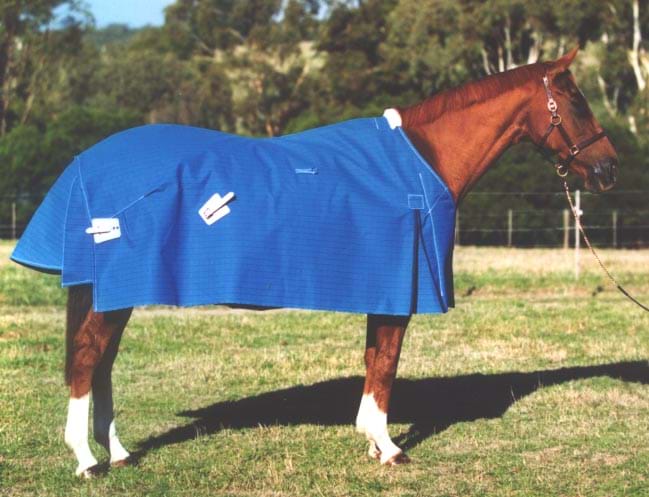 Premier Unlined Canvas