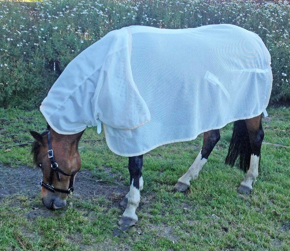 Skye Park Rugs Australia's Home of Horse Rugs, Blankets and Accessories