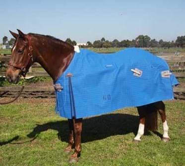 Does It Fit, How To Stop Horse Rug Slipping