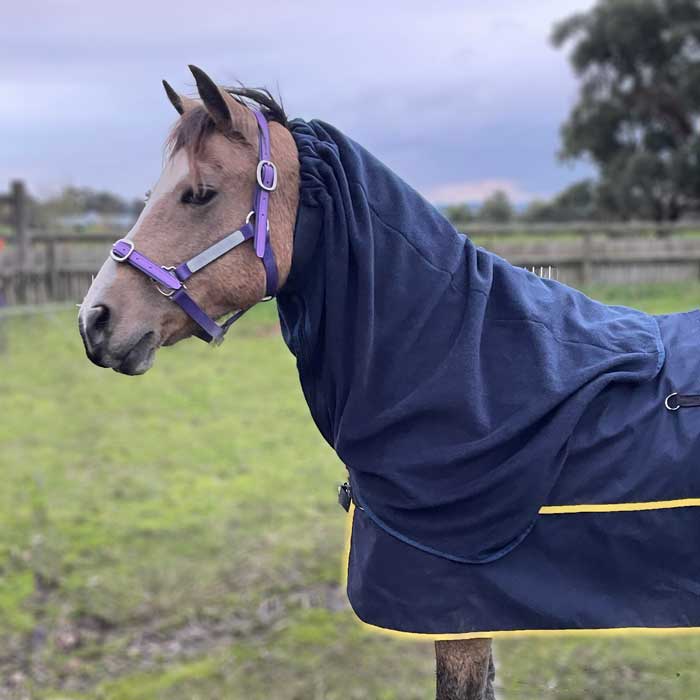 Skye Park Rugs Australia's Home of Horse Rugs, Blankets and Accessories