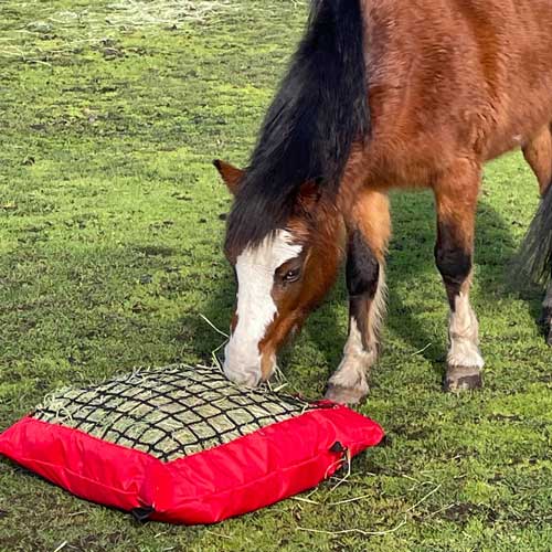 Skye Park Rugs Australia's Home of Horse Rugs, Blankets and Accessories