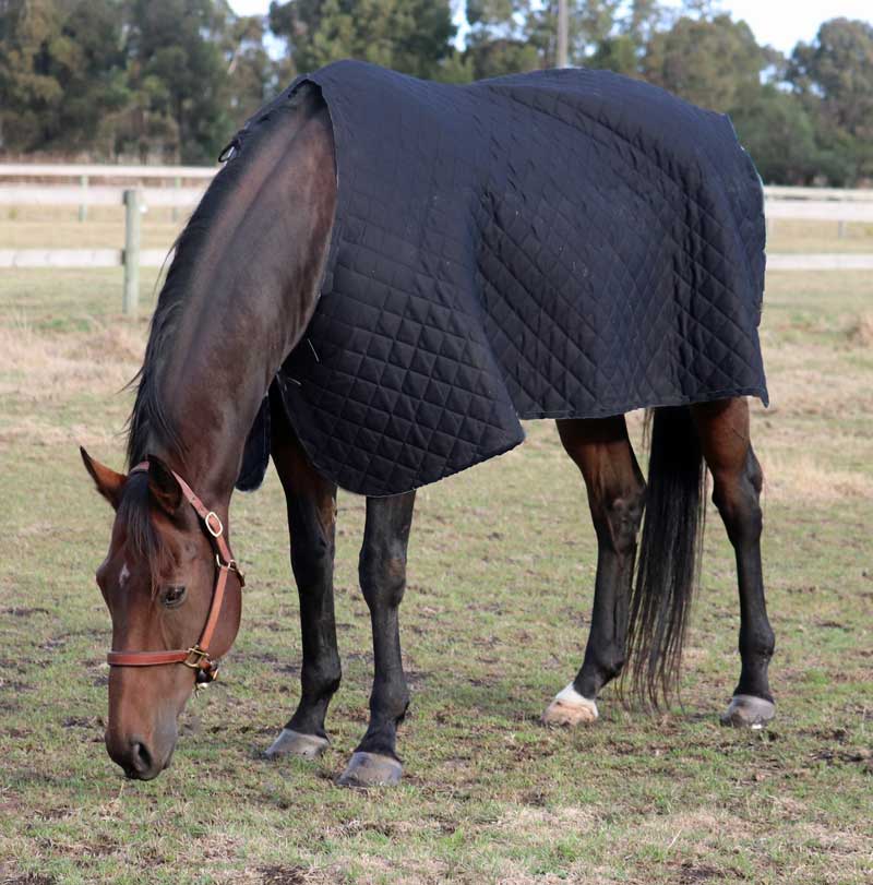 CLEARANCE Quilted Doona