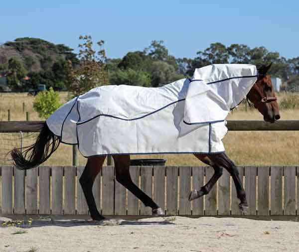 Skye Park Rugs Australia's Home of Horse Rugs, Blankets and Accessories