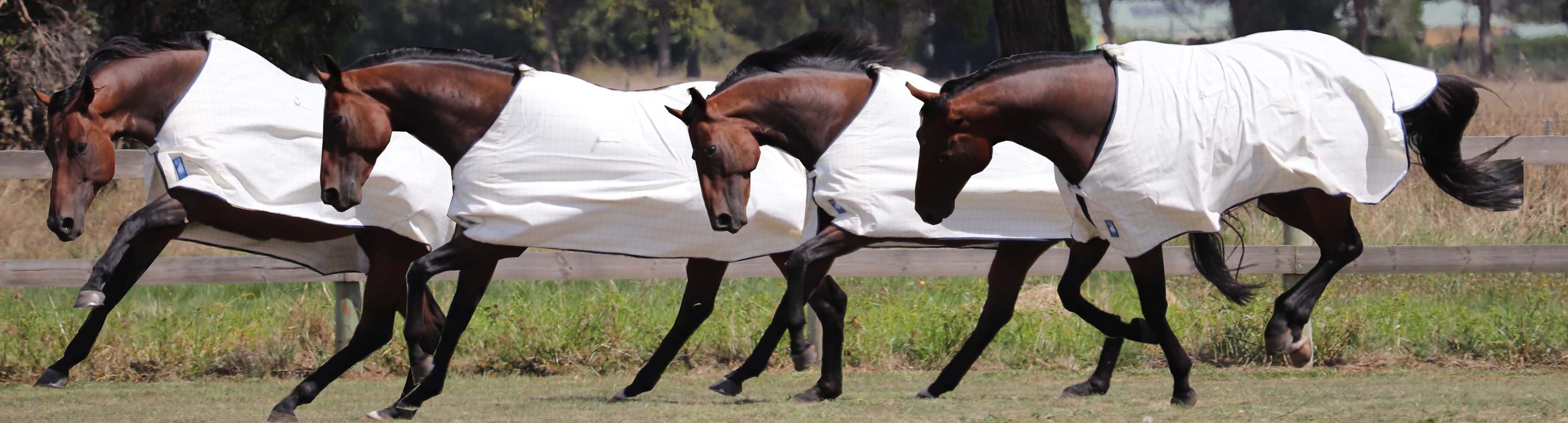 Skye Park Rugs Australia's Home of Horse Rugs, Blankets and Accessories