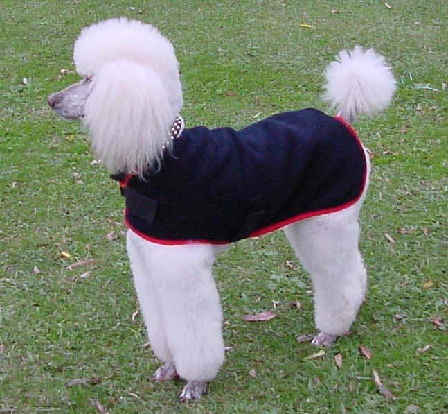 Woof Wear Wool Dog Rug